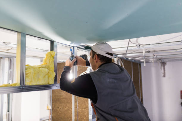 Best Commercial Insulation in St Leon, IN