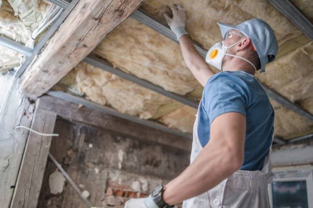 Professional Insulation Contractor in St Leon, IN