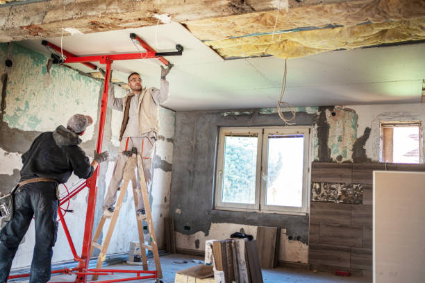 Best Eco-Friendly Insulation in St Leon, IN
